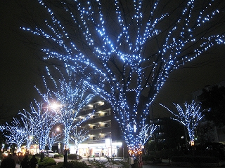 ̍ՓT
