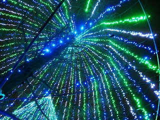 ̍ՓT