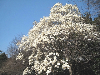 Vh䉑