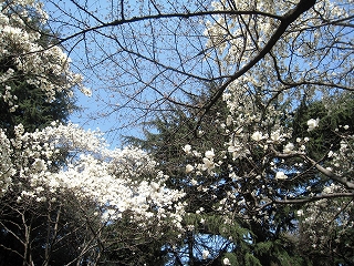 Vh䉑