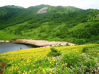 씽