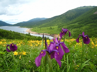 씽