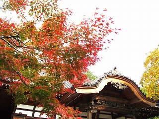 [厛
