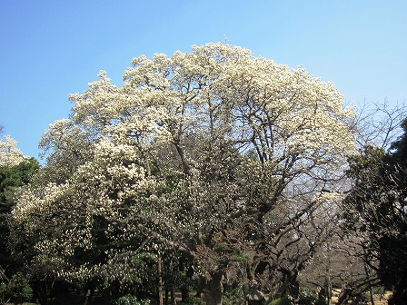 Vh䉑