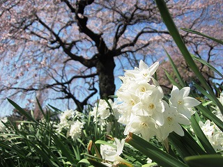 Vh䉑
