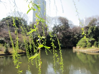 Vh䉑