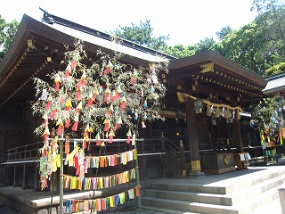 ひらつか七夕祭り