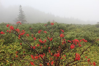草津