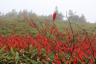 草津
