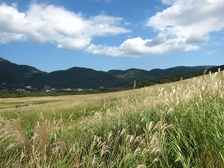 箱根・仙石原