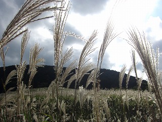 箱根・仙石原