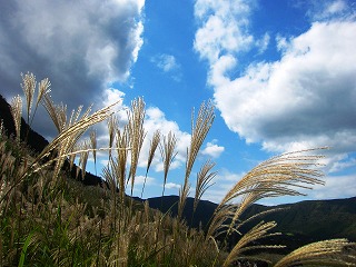 箱根・仙石原