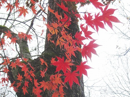 大清水