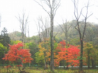 大清水