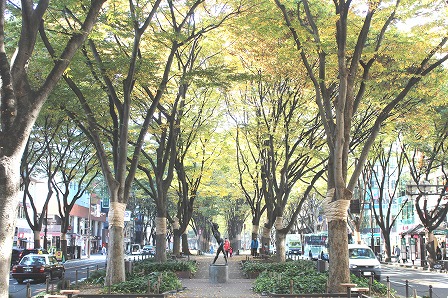 仙台市中心部