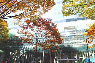 仙台市中心部