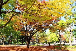 仙台市中心部