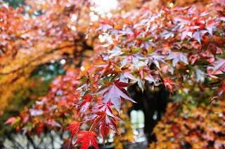 山寺