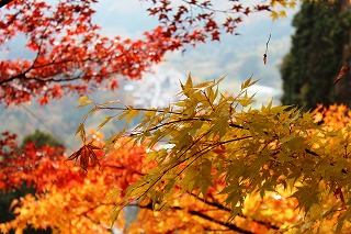 山寺