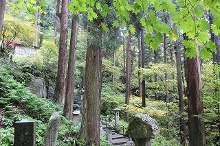 山寺