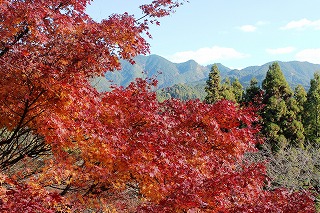 談山神社