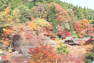 談山神社