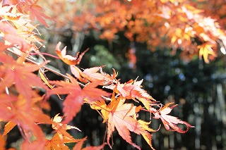 談山神社