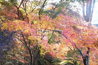 東福寺