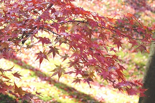 東福寺