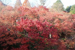 東福寺