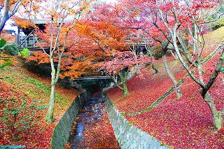 東福寺