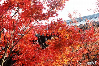 東福寺