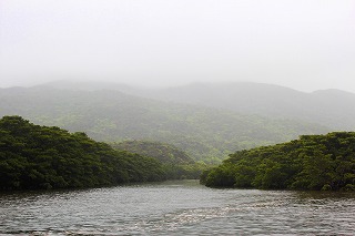 西表島