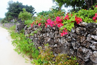 竹富島