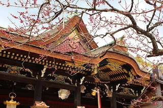 北野八幡宮・梅