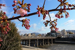 三条大橋