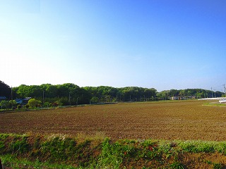 武蔵丘陵森林公園