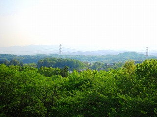 武蔵丘陵森林公園
