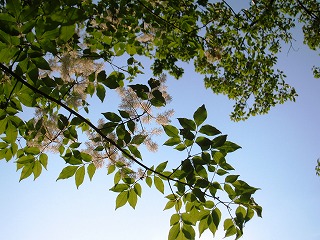 武蔵丘陵森林公園
