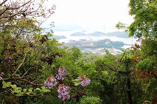 武蔵丘陵森林公園