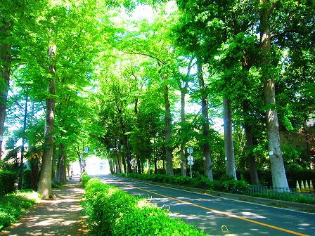 三富新田
