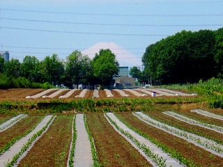 三富新田