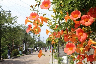 醒井宿の景観