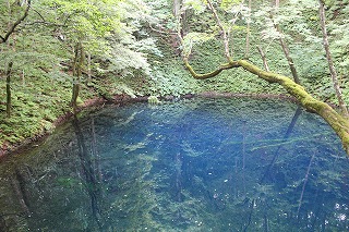 十二湖・青池