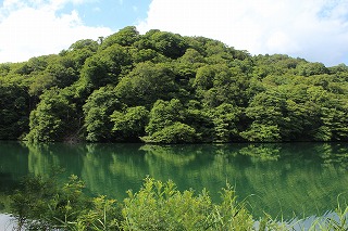 十二湖・中ノ池