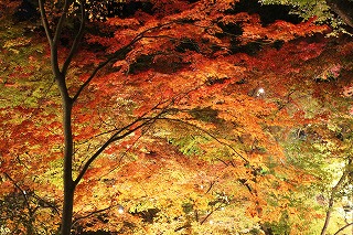 北野天満宮