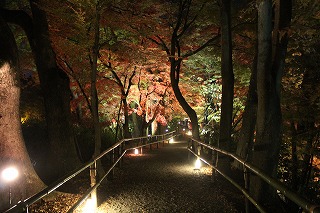 北野天満宮