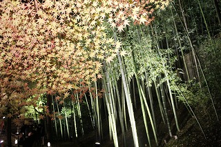 北野天満宮