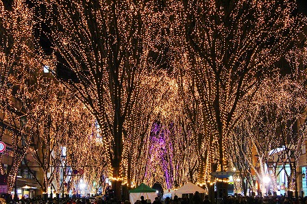 SENDAI光のページェント
