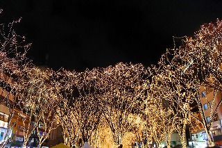 SENDAI光のページェント